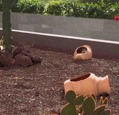 Arenas Hotel Playa del Ingles (Gran Canaria)